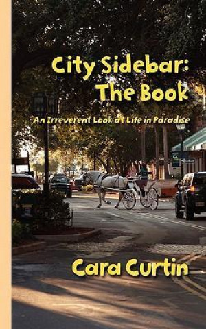 City Sidebar: The Book