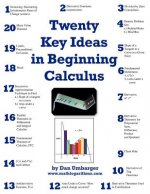 Twenty Key Ideas in Beginning Calculus