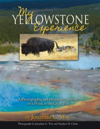 My Yellowstone Experience