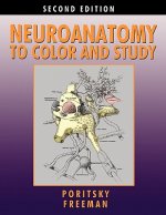 Neuroanatomy to Color and Study