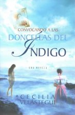 Convocando A las Doncellas del Indigo = Summoning the Damsels of Indigo