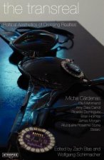 Transreal Political Aesthetics of Crossing Realities