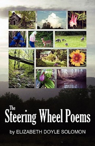 The Steering Wheel Poems the Steering Wheel Poems