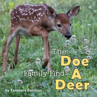 Doe Family Finds a Deer
