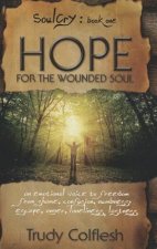 Hope for the Wounded Soul, Soulcry Book 1: An Emotional Voice to Freedom from Shame, Confusion, Numbness, Escape, Anger, Loneliness, Lostness