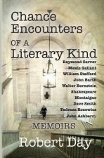 Chance Encounters of a Literary Kind