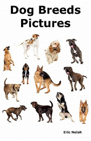 Dog Breeds Pictures