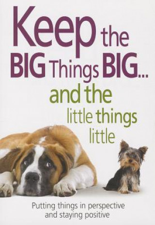 Keep the Big Things Big and the Little Things Little: Putting Things in Perspective and Staying Positive