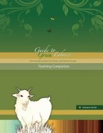 Guide to Green Fabrics Teaching Companion