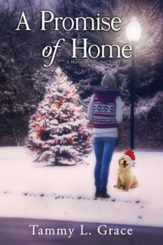 A Promise of Home: A Hometown Harbor Novel