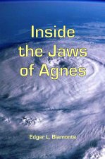 Inside the Jaws of Agnes