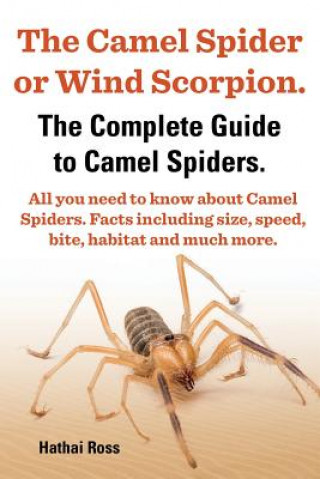 Camel Spider or Wind Scorpion, The Complete Guide to Camel Spiders.