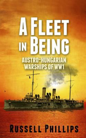 Fleet in Being