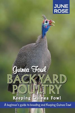 Guinea Fowl, Backyard Poultry