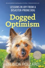 Dogged Optimism