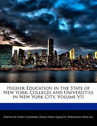 Higher Education in the State of New York: Colleges and Universities in New York City, Volume VII