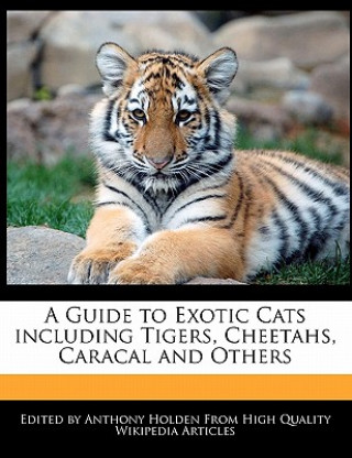 A Guide to Exotic Cats Including Tigers, Cheetahs, Caracal and Others