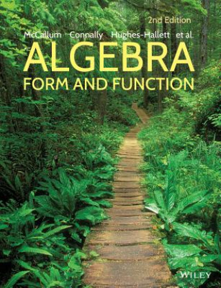 Algebra: Form and Function Cloth