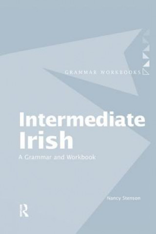 Intermediate Irish: A Grammar and Workbook