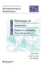 Pathologies of Awareness: Bridging the Gap between Theory and Practice