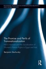 Promise and Perils of Transnationalization