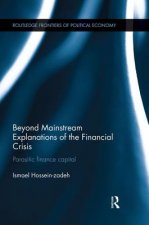 Beyond Mainstream Explanations of the Financial Crisis