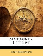Sentiment a L'épreuve