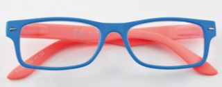 Reading Glasses B5-BLUE 100