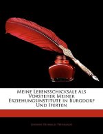 Meine Lebensschicksale Als Vorsteher Meiner Erziehungsinstitute in Burgdorf Und Iferten