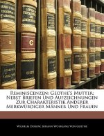 Reminiscenzen: Geothe's Mutter; Nebst Briefen und Aufzeichnungen zur Charakteristik anderer merkwürdiger Männer und Frauen