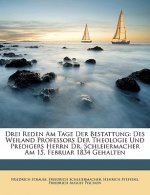 Drei Reden Am Tage Der Bestattung: Des Weiland Professors Der Theologie Und Predigers Herrn Dr. Schleiermacher Am 15. Februar 1834 Gehalten