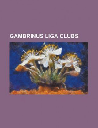 Gambrinus Liga Clubs: 1. FC Slovacko, 1. FK P Ibram, AC Sparta Prague, Afk Atlantic Lazn Bohdane, Bohemians 1905, Dukla Prague, FC Banik Ost