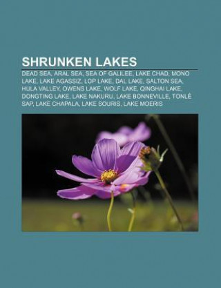 Shrunken Lakes: Dead Sea, Aral Sea, Sea of Galilee, Lake Chad, Mono Lake, Lake Agassiz, Lop Lake, Dal Lake, Salton Sea, Hula Valley, O