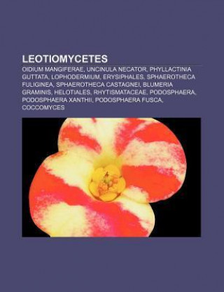 Leotiomycetes: Oidium Mangiferae, Uncinula Necator, Phyllactinia Guttata, Lophodermium, Erysiphales, Sphaerotheca Fuliginea