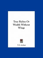 True Riches Or Wealth Without Wings