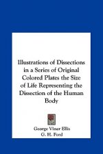 Illustrations of Dissections in a Series of Original Colored Plates the Size of Life Representing the Dissection of the Human Body