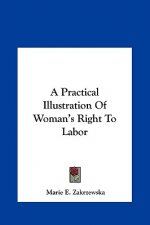 A Practical Illustration Of Woman's Right To Labor