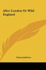 After London Or Wild England