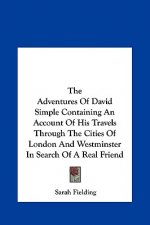 The Adventures Of David Simple Containing An Account Of His Travels Through The Cities Of London And Westminster In Search Of A Real Friend