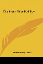 The Story Of A Bad Boy