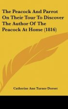 The Peacock And Parrot On Their Tour To Discover The Author Of The Peacock At Home (1816)