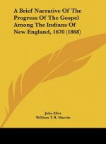 A Brief Narrative Of The Progress Of The Gospel Among The Indians Of New England, 1670 (1868)