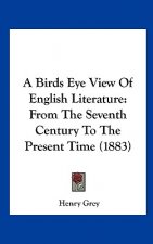 A Birds Eye View Of English Literature