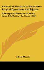 A Practical Treatise On Shock After Surgical Operations And Injuries