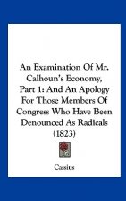 An Examination Of Mr. Calhoun's Economy, Part 1