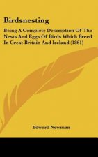 Birdsnesting