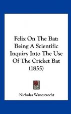 Felix On The Bat