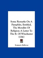 Some Remarks On A Pamphlet, Entitled, The Morality Of Religion