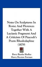 Notes On Sculptures In Rome And Florence