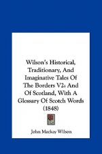 Wilson's Historical, Traditionary, And Imaginative Tales Of The Borders V2